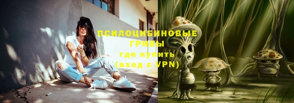 эйфоретик Бородино