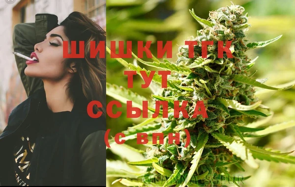 эйфоретик Бородино