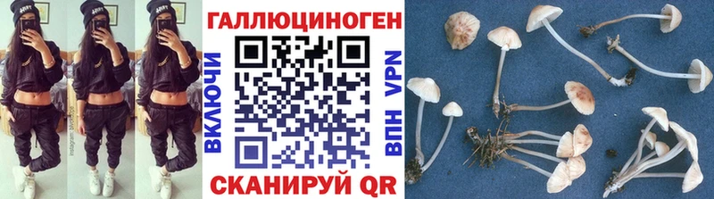 блэк спрут ONION Дальнегорск Псилоцибиновые грибы GOLDEN TEACHER